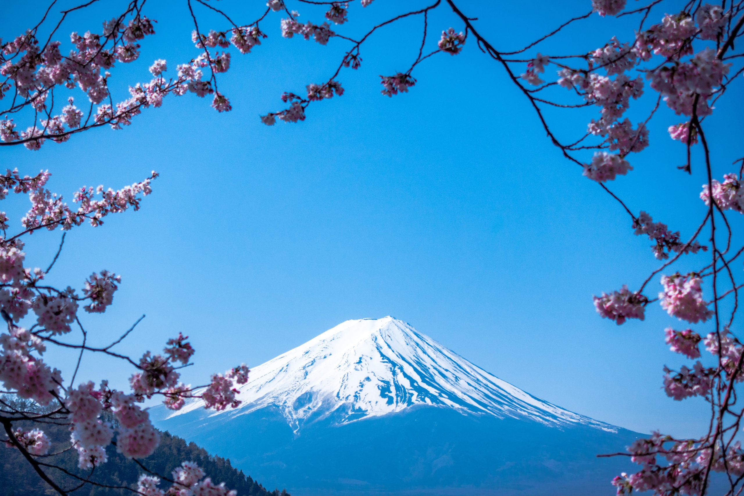 看護師不足のだから転職したいと思う様子